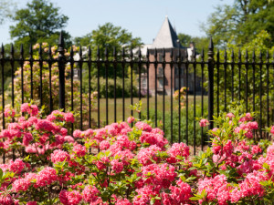 Kasteel Twickel