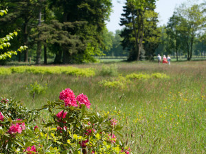 Stad Delden, wandelen