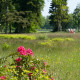 Stad Delden, wandelen