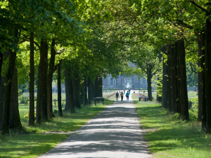 Landgoed Twickel, Delden