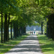 Landgoed Twickel, Delden