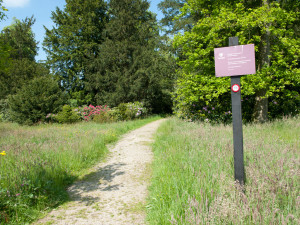 Landgoed Twickel, wandelen