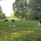 Landgoed Twickel, boerderijen