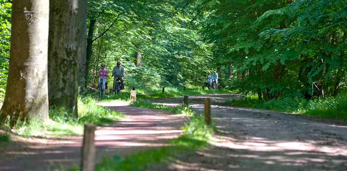 Fietsen in Twente